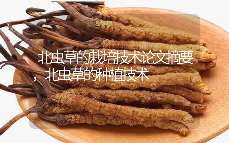 北蟲草的栽培技術(shù)論文摘要，北蟲草的種植技術(shù)