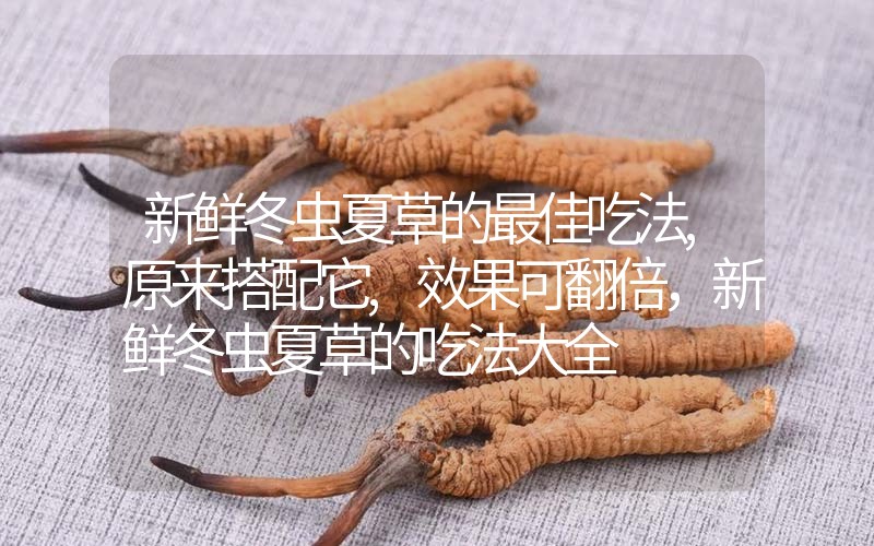 新鮮冬蟲(chóng)夏草的最佳吃法,原來(lái)搭配它,效果可翻倍，新鮮冬蟲(chóng)夏草的吃法大全