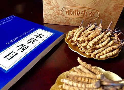 冬蟲夏草真就那么好嗎？它的主要功能是什么呀