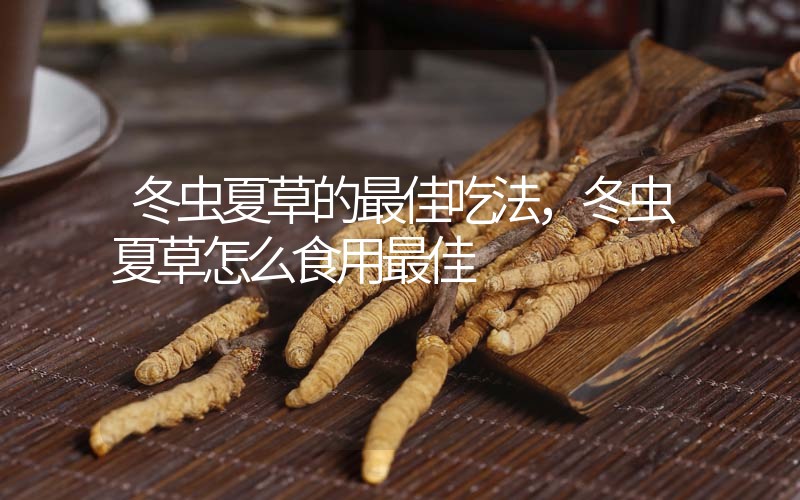 冬蟲夏草的最佳吃法，冬蟲夏草怎么食用最佳