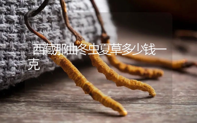 西藏那曲冬蟲夏草多少錢一克？