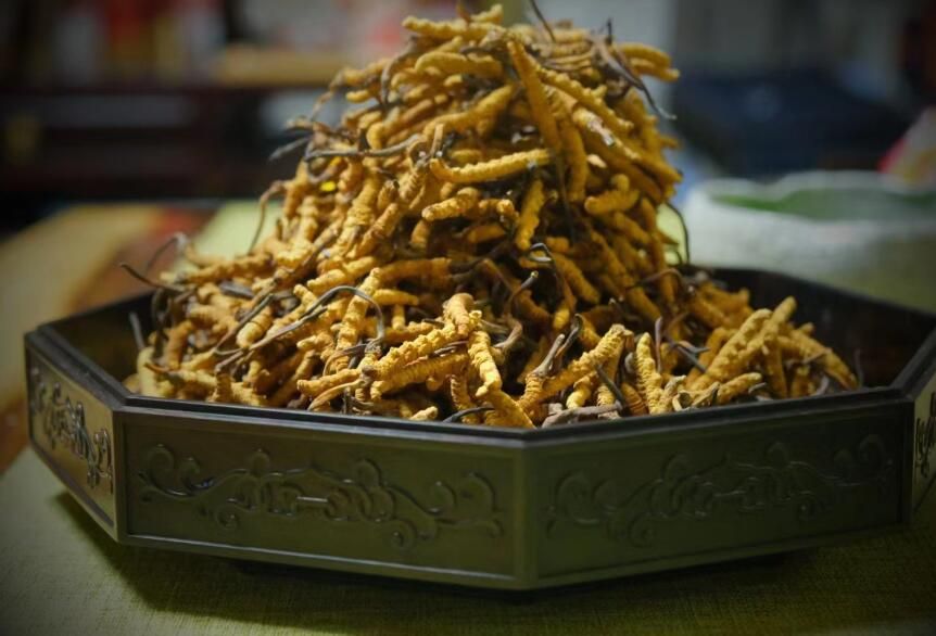 <a href=http://m.anyvice.com/ target=_blank class=infotextkey>冬蟲夏草</a>