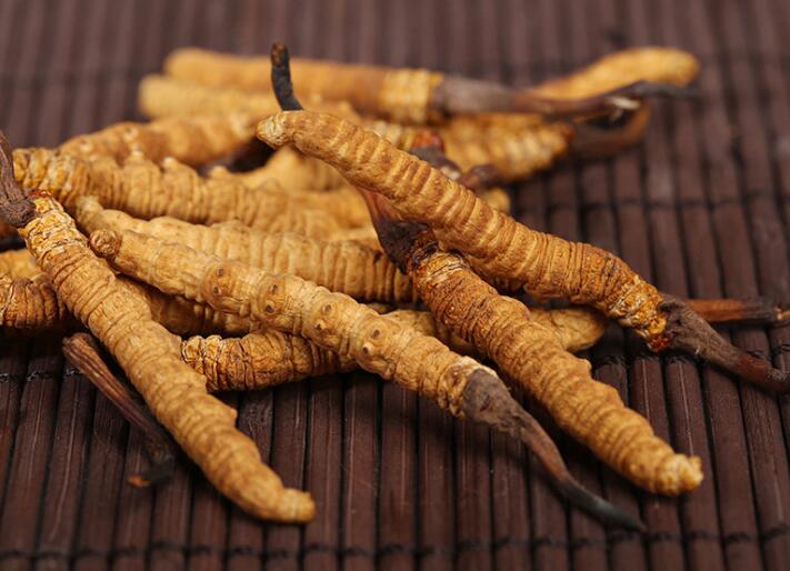 什么樣的冬蟲夏草算是優(yōu)質(zhì)的？