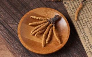 為何買(mǎi)冬蟲(chóng)夏草要選前期的頭茬草！