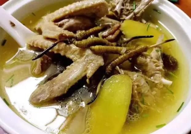 冬蟲夏草和哪些食材可以一起煲湯？