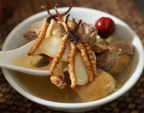 小孩子可以吃冬蟲夏草嗎？