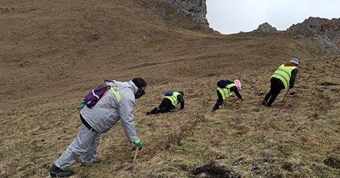 <a href=http://m.anyvice.com/sdph/zf/ target=_blank class=infotextkey>珍峰冬蟲(chóng)夏草</a>:源自世界屋脊的養(yǎng)生瑰寶