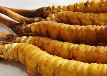 <a href=http://m.anyvice.com/sdph/zf/ target=_blank class=infotextkey>珍峰冬蟲夏草</a>主要的銷售模式