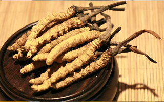 未來冬蟲夏草會(huì)漲價(jià)嗎？