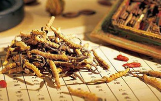 同仁堂健康冬蟲夏草：傳承品質，饋贈健康