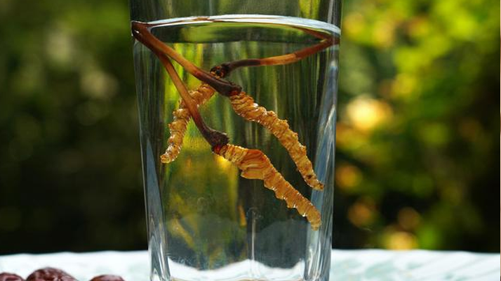 <a href=http://m.anyvice.com/xinxian/ target=_blank class=infotextkey>鮮冬蟲(chóng)夏草</a>怎么泡好吃？這些配方讓滋補(bǔ)更有滋味