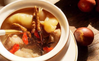 冬蟲夏草與什么泡水喝？養(yǎng)生搭配指南