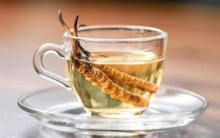 一杯蟲草水，健康新滋味：冬蟲夏草泡水喝的奇妙功效