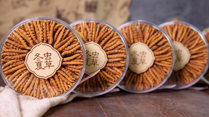 2025年7月冬蟲夏草價格行情公布！<a href=http://m.anyvice.com/jiage/ target=_blank class=infotextkey>蟲草價格</a>降了！