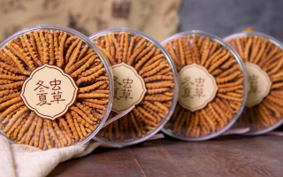 2025年7月冬蟲夏草價格行情公布！蟲草價格降了！