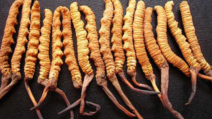 一克<a href=http://m.anyvice.com/jiage/ target=_blank class=infotextkey>冬蟲夏草多少錢</a>？解密天價(jià)背后的價(jià)格密碼