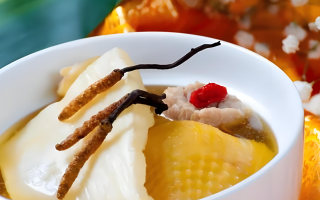 煲鴿子湯放多少冬蟲夏草？科學(xué)搭配的滋補(bǔ)之道