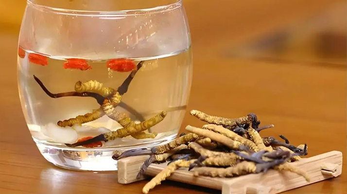 冬蟲夏草花泡水喝的功效