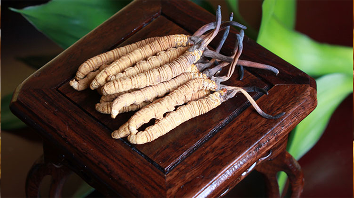 怎樣鑒別<a href=http://m.anyvice.com/tag/6.html target=_blank class=infotextkey>冬蟲(chóng)夏草的產(chǎn)地</a>