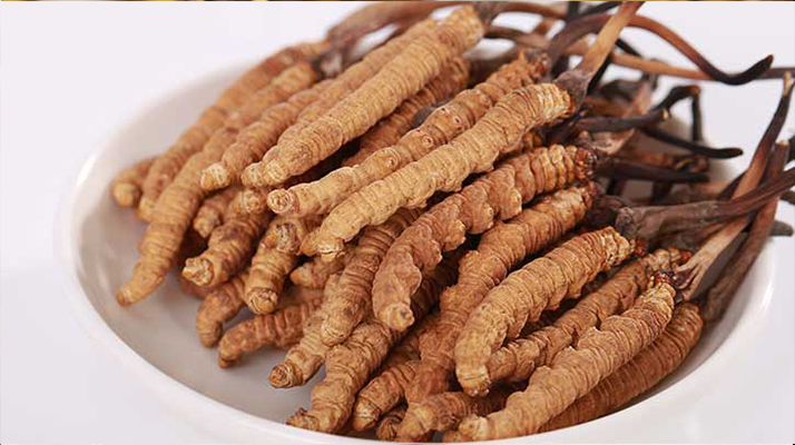 西藏特產冬蟲夏草藏紅花