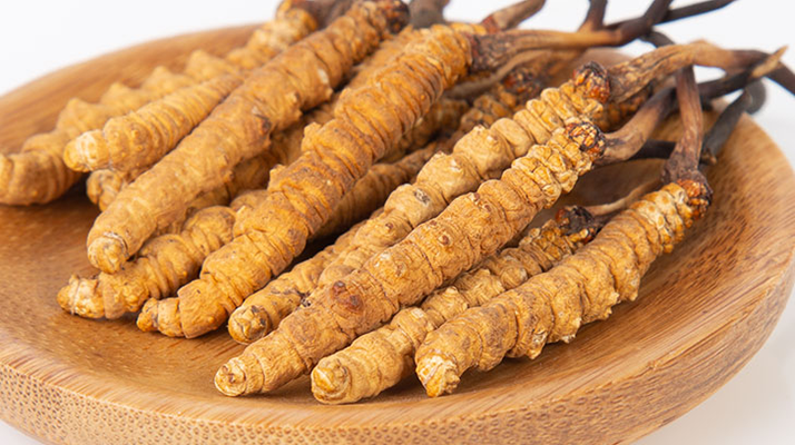 在西藏，冬蟲夏草真的觸手可得？