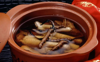 糖尿病可服用冬蟲夏草嗎？科學(xué)解析其調(diào)理價值與注意事項(xiàng)