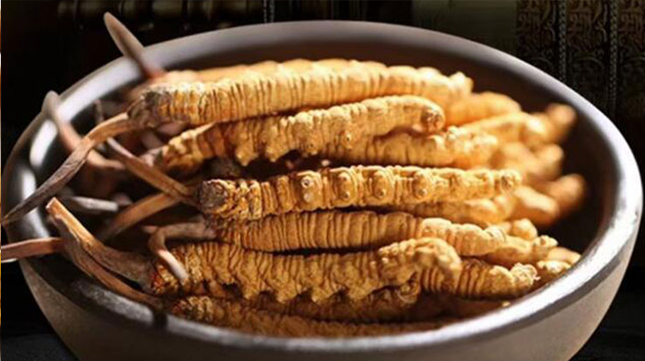 冬蟲夏草食用方法與用量指南：科學滋補的關(guān)鍵把控