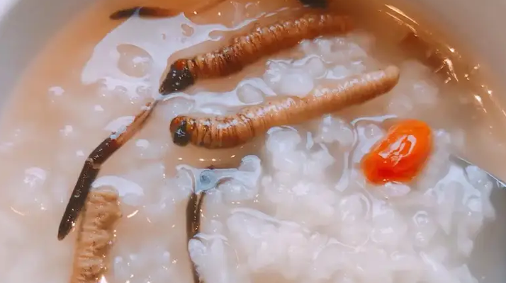 冬蟲夏草適合哪些人群？精準匹配與禁忌提醒