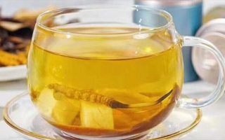 新鮮冬蟲夏草怎么泡？解鎖鮮蟲草的正確沖泡方式