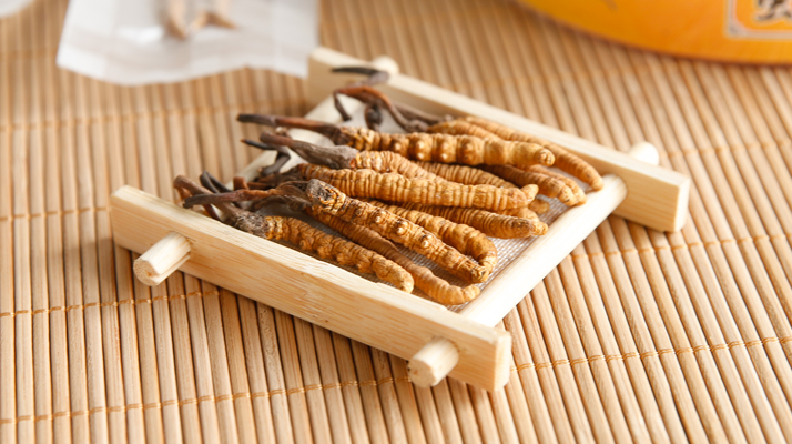 這些藥材形似冬蟲夏草，辨別要點(diǎn)需牢記