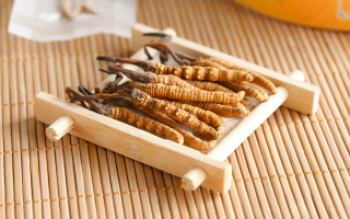 冬蟲夏草怎么燉比較好？解鎖營(yíng)養(yǎng)不流失的燉煮指南