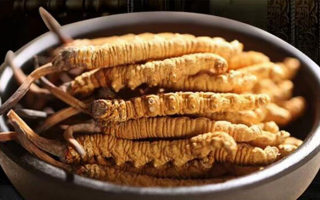 冬蟲夏草效果好不好用？科學(xué)與實(shí)踐視角下的全面解析