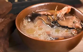 冬蟲夏草治什么病效果好？厘清輔助調(diào)理邊界與適用場景