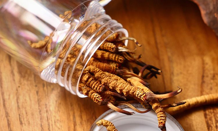 <a href=http://m.anyvice.com/jiage/ target=_blank class=infotextkey>冬蟲夏草多少錢</a>一條