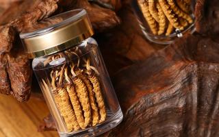 鮮冬蟲夏草泡水后怎么保存？3 種場(chǎng)景保存方法 + 避坑指南