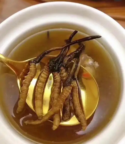 冰糖燉冬蟲夏草的做法，有什么功效?