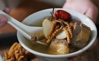 冬蟲夏草和什么一起燉可以治咳嗽？