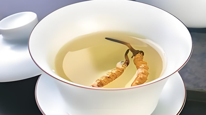 鮮冬蟲夏草可以煮水喝嗎？有什么功效和作用？
